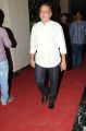 Race Gurram Audio Launch Function Stills