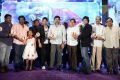 Race Gurram Audio Launch Function Stills