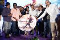 Race Gurram Audio Launch Function Stills