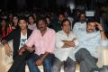 Race Gurram Audio Launch Function Stills