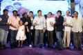 Race Gurram Audio Launch Function Stills