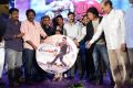 Race Gurram Audio Launch Function Stills