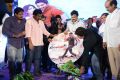 Race Gurram Audio Launch Function Stills