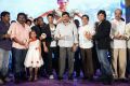 Race Gurram Audio Launch Function Stills