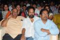 Race Gurram Audio Launch Function Stills