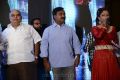 Race Gurram Audio Launch Function Stills