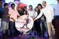 Race Gurram Audio Launch Function Stills