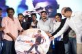 Race Gurram Audio Launch Function Stills