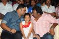 Race Gurram Audio Launch Function Stills