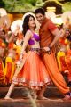 Shruti Hassan, Allu Arjun in Race Gurram Movie Stills