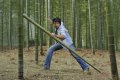Racha Fight Stills at Bamboo Forest in China