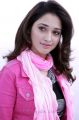 Racha Tamanna Cute Stills in Pink Dress