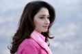 Racha Tamanna Cute Stills in Pink Dress