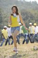 Racha Tamanna Stills