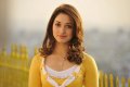 Tamanna Stills in Racha Movie