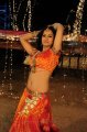 Rachana Maurya Hot Photo Gallery