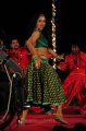 Rachana Maurya Hot Photo Gallery