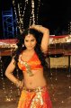 Rachana Maurya Hot Photo Gallery