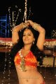 Rachana Maurya Hot Photo Gallery