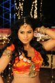 Rachana Maurya Hot Photo Gallery