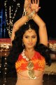 Rachana Maurya Hot Photos in Nandeeswarudu