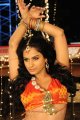 Rachana Maurya Hot Photo Gallery