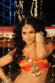 Rachana Maurya Hot Photos in Nandeeswarudu