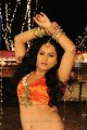 Rachana Maurya Hot Photo Gallery