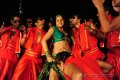 Rachana Maurya Hot Pictures