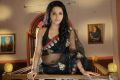 Telugu Actress Rachana Maurya Hot Photos in Saree