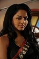 Rachana Mourya New Hot Images in Black Saree