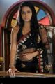 Telugu Actress Rachana Maurya Hot in Saree Photos