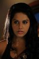 Telugu Heroine Rachana Maurya Hot in Saree Photos