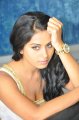 Rachana Maurya Hot Photo Shoot Pics