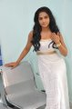 Rachana Maurya Photo Shoot Stills