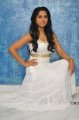 Rachana Maurya Photo Shoot Stills