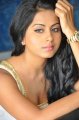 Rachana Maurya Hot Photo Shoot Pics