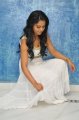 Rachana Maurya Hot Photo Shoot Pics