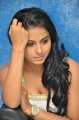 Rachana Maurya Hot Photo Shoot Pics