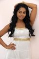 Rachana Maurya Latest Hot Pictures