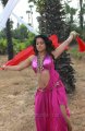 Rachana Maurya Hot Spicy Stills