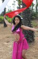 Rachana Maurya Hot Spicy Stills