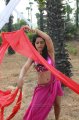 Rachana Maurya Hot Spicy Stills