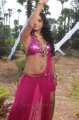 Rachana Maurya Hot Spicy Stills