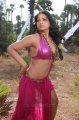 Rachana Maurya Hot Spicy Stills