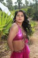 Rachana Maurya Latest Hot Stills