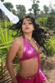 Rachana Maurya Hot Spicy Stills