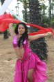 Rachana Maurya Hot Spicy Stills