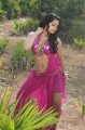 Rachana Maurya Hot Spicy Stills