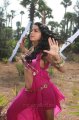 Rachana Maurya Hot Spicy Stills